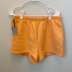 Orange Aritzia Sweatshorts